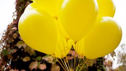 Yellow balloons in a bunch